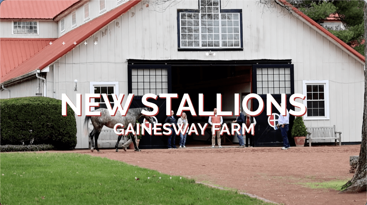 Gainesway Adds Four New Stallions in 2025